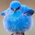 Avatar de l’utilisateur