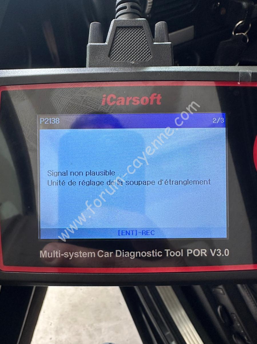 P2138.jpg