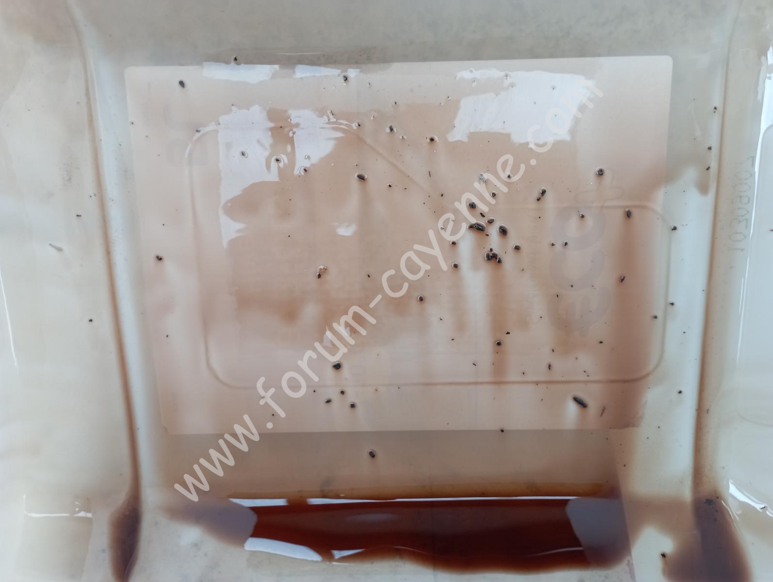 Huile boite de transfert.jpg Huile boite de transfert.jpg