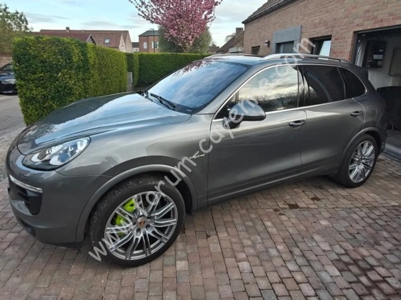 Cayenne1.jpg