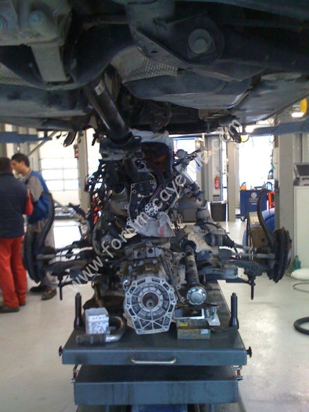 img0534uv.jpg