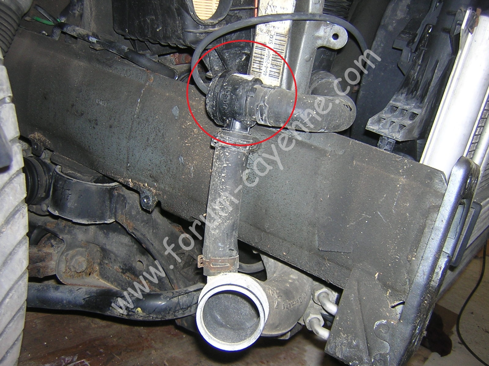 DSCN9840.JPG
