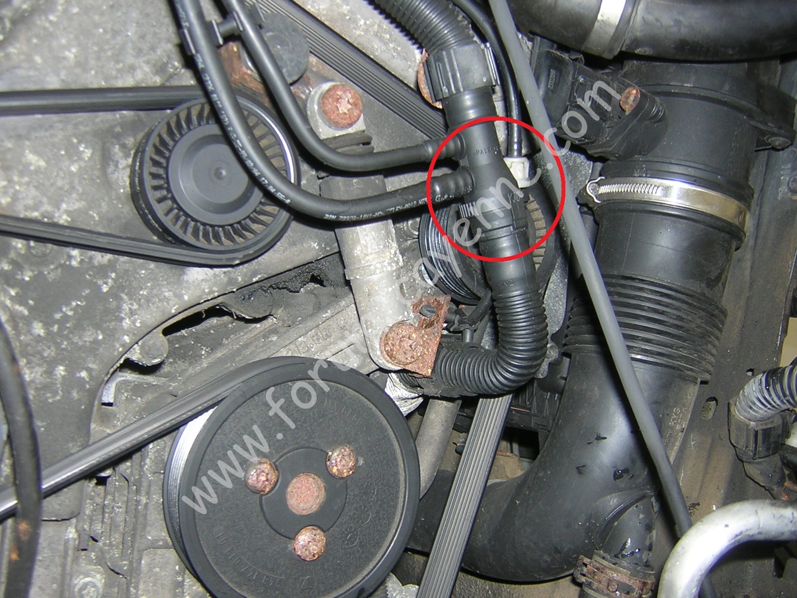 DSCN9845.JPG