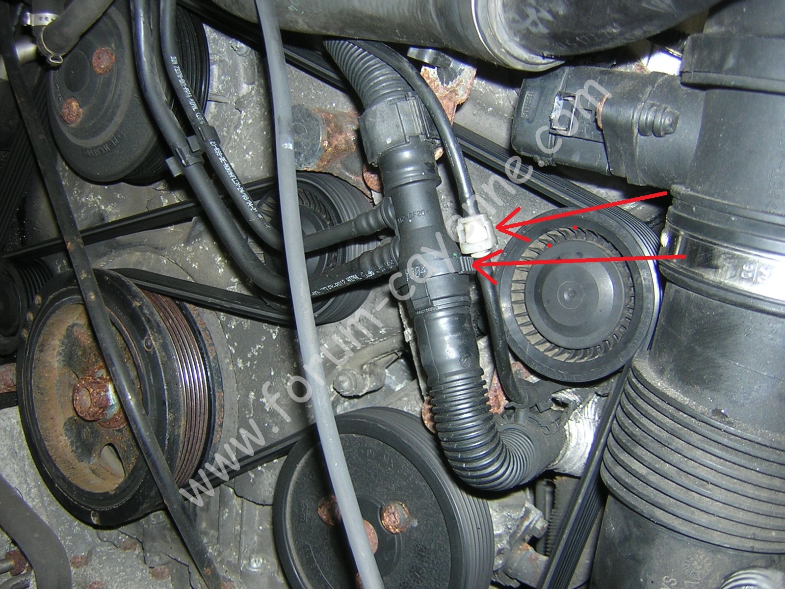 DSCN9846.JPG