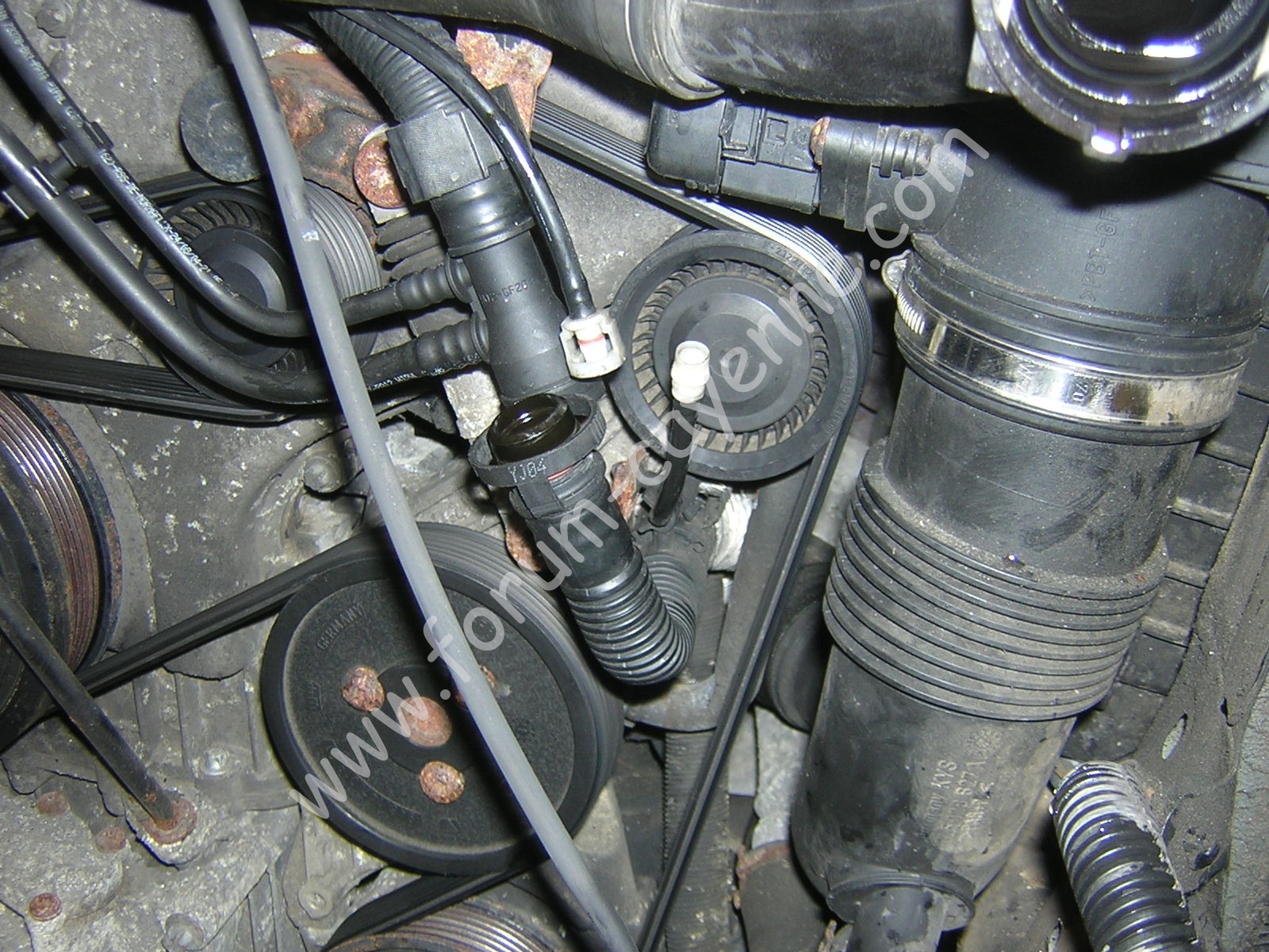DSCN9847.JPG
