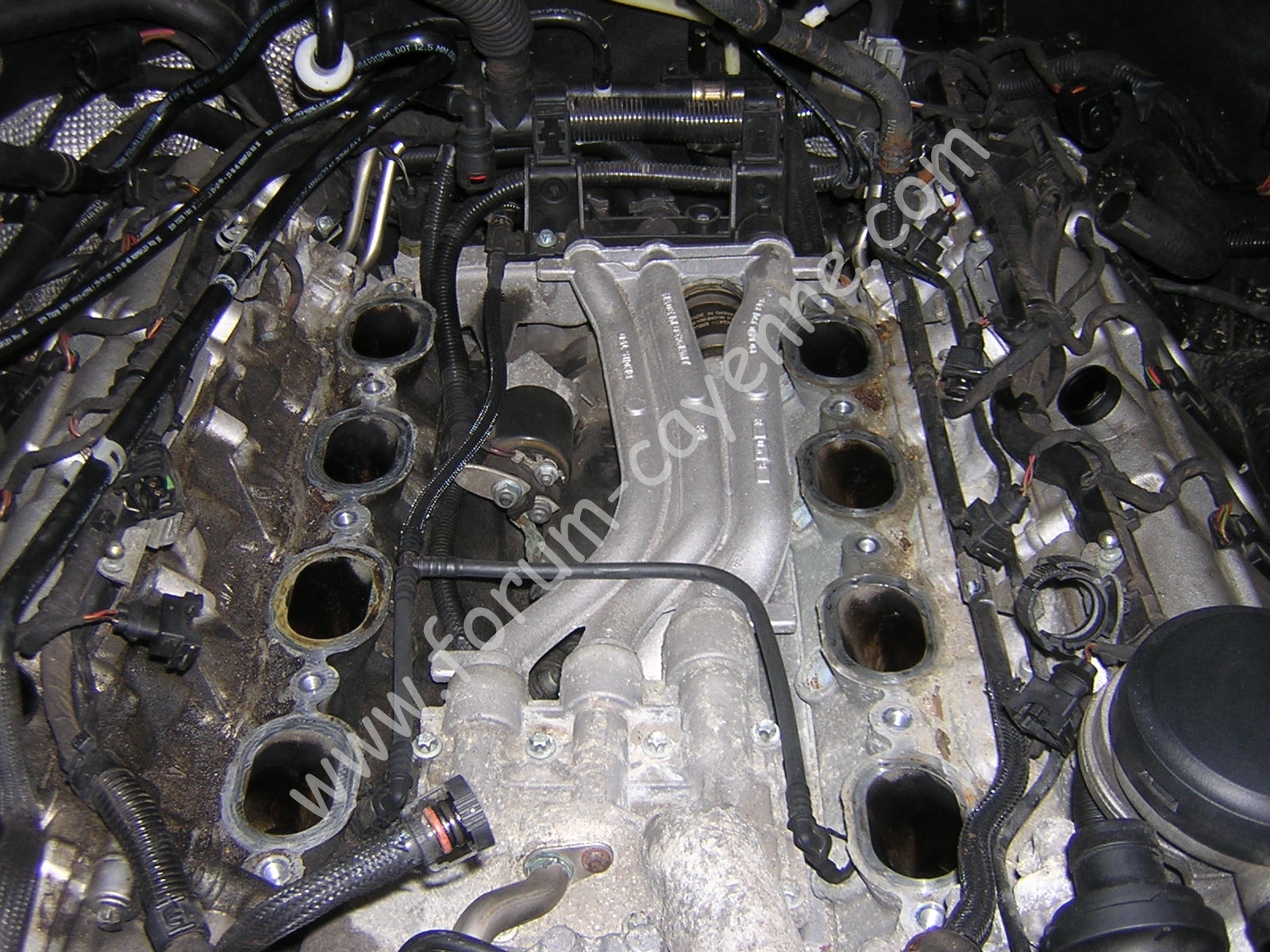 DSCN9851.JPG