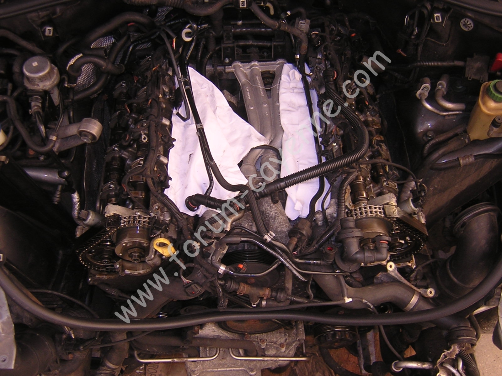 DSCN9854.JPG