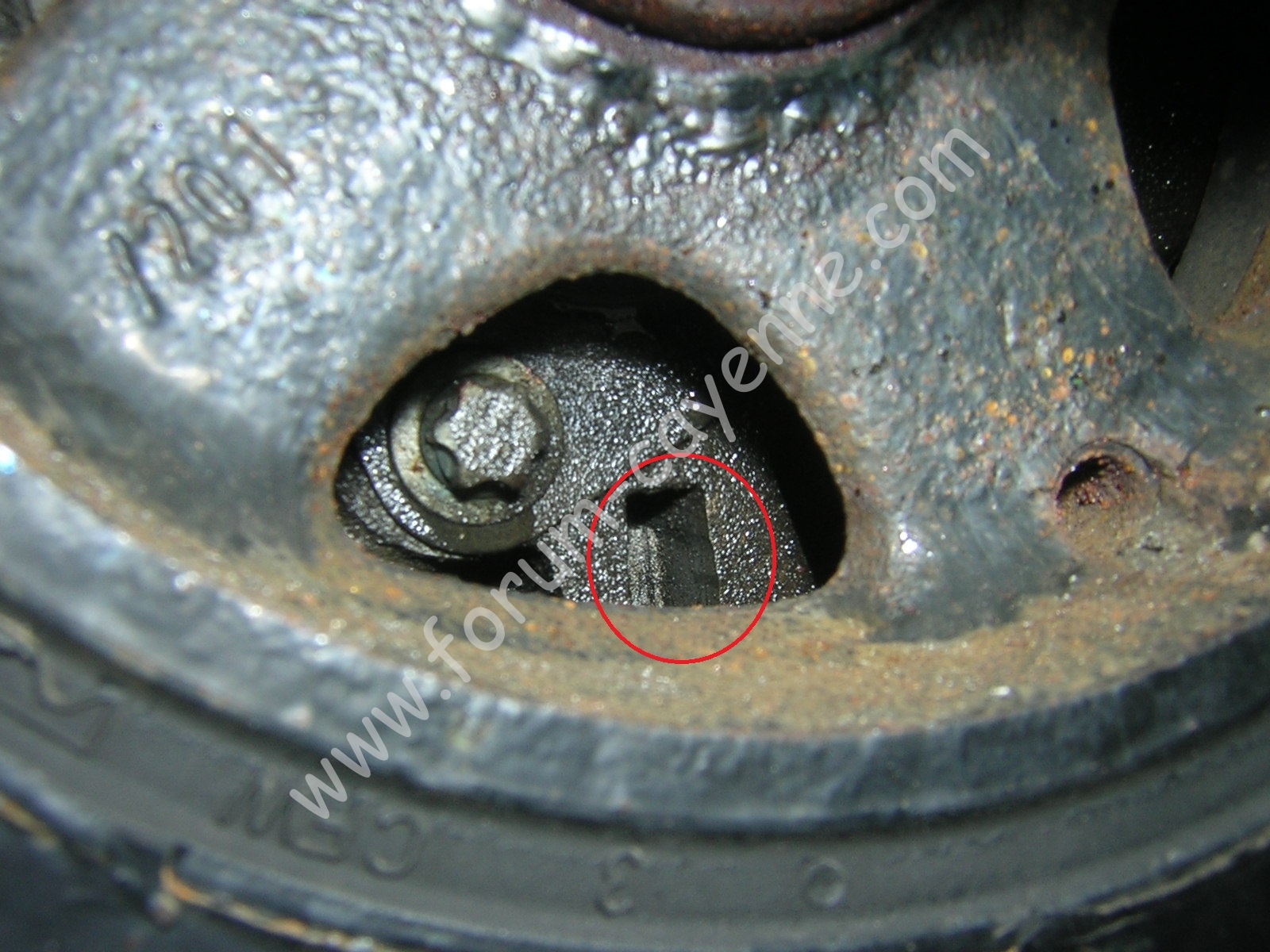 DSCN9857.JPG