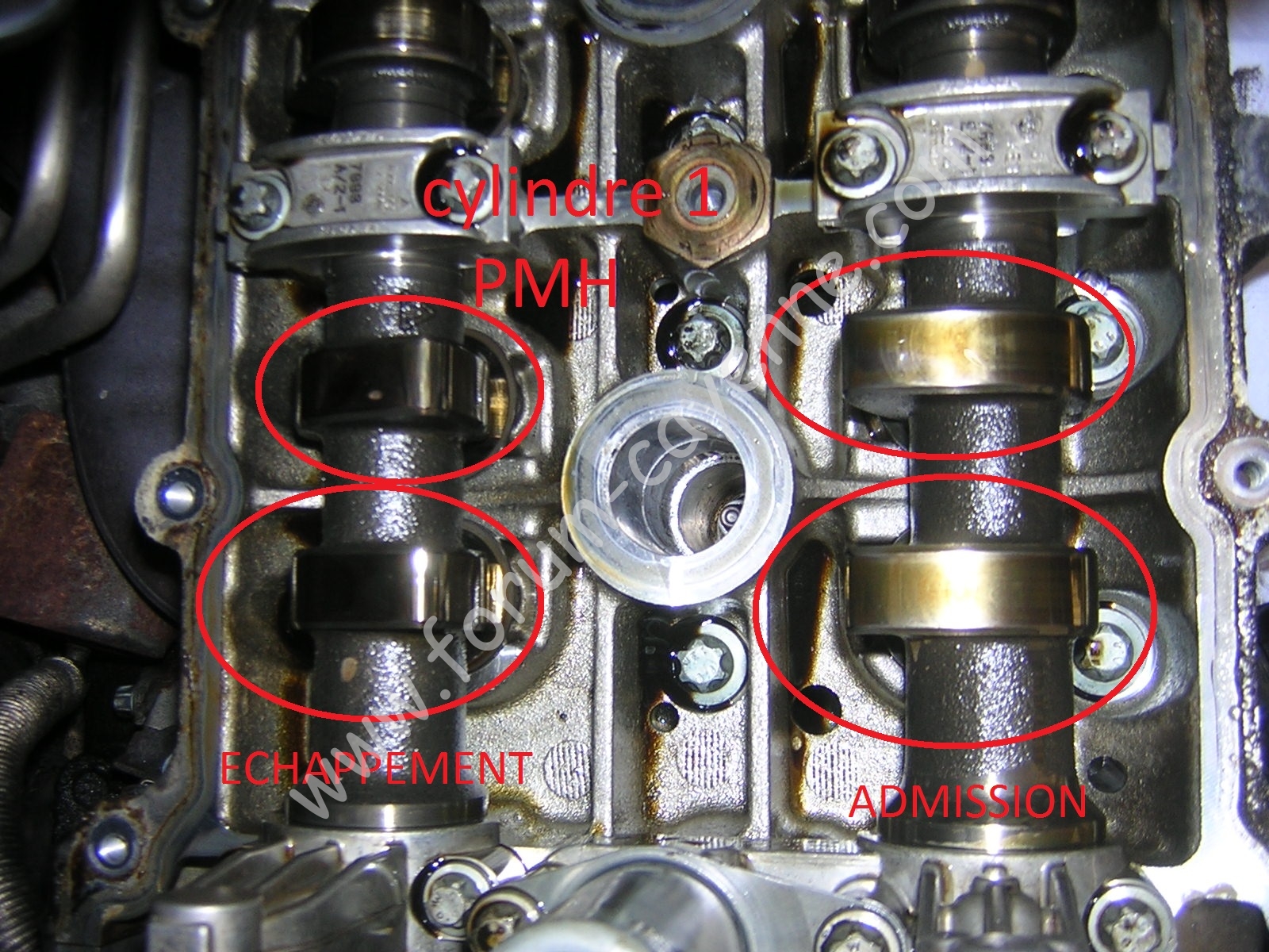 DSCN9859.JPG