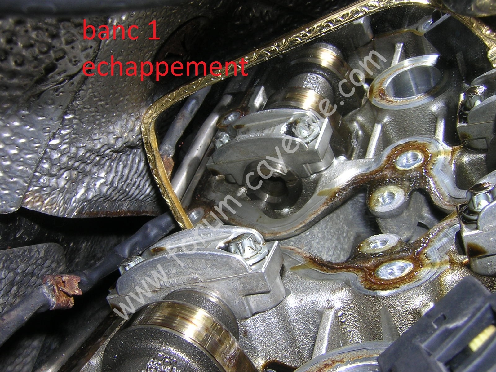 DSCN9861.JPG