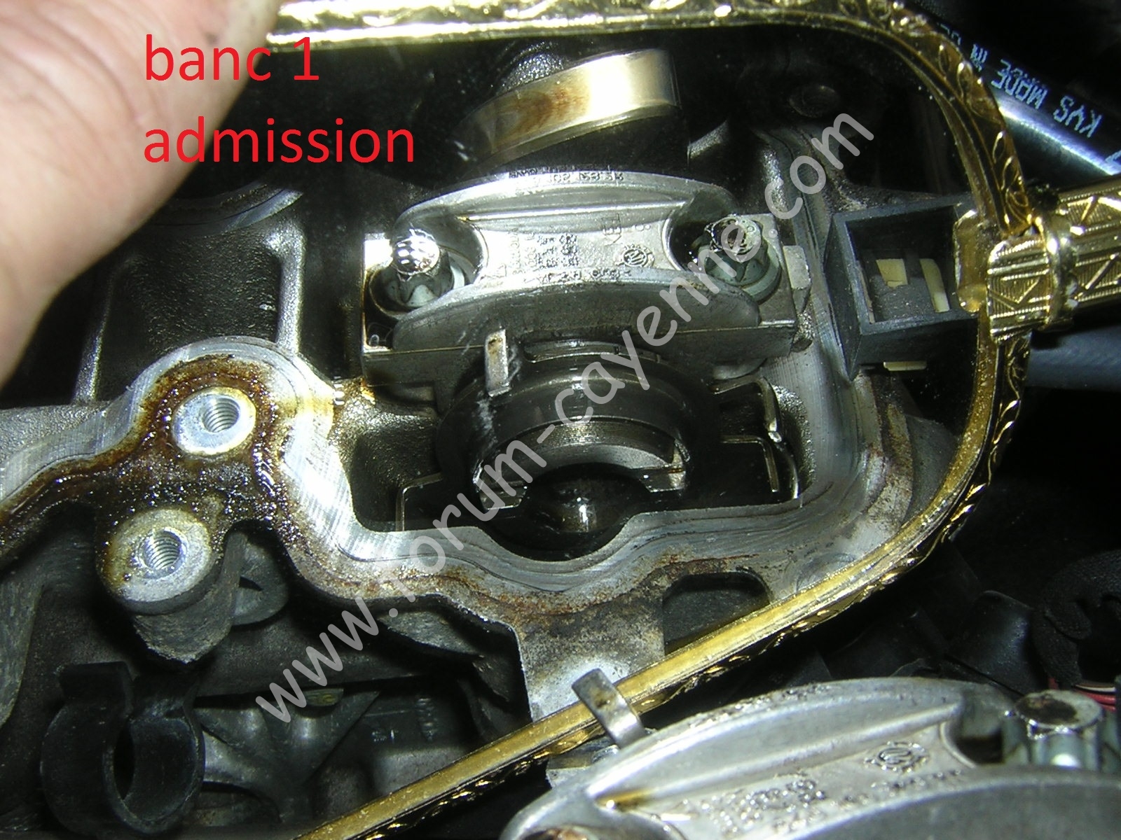 DSCN9862.JPG