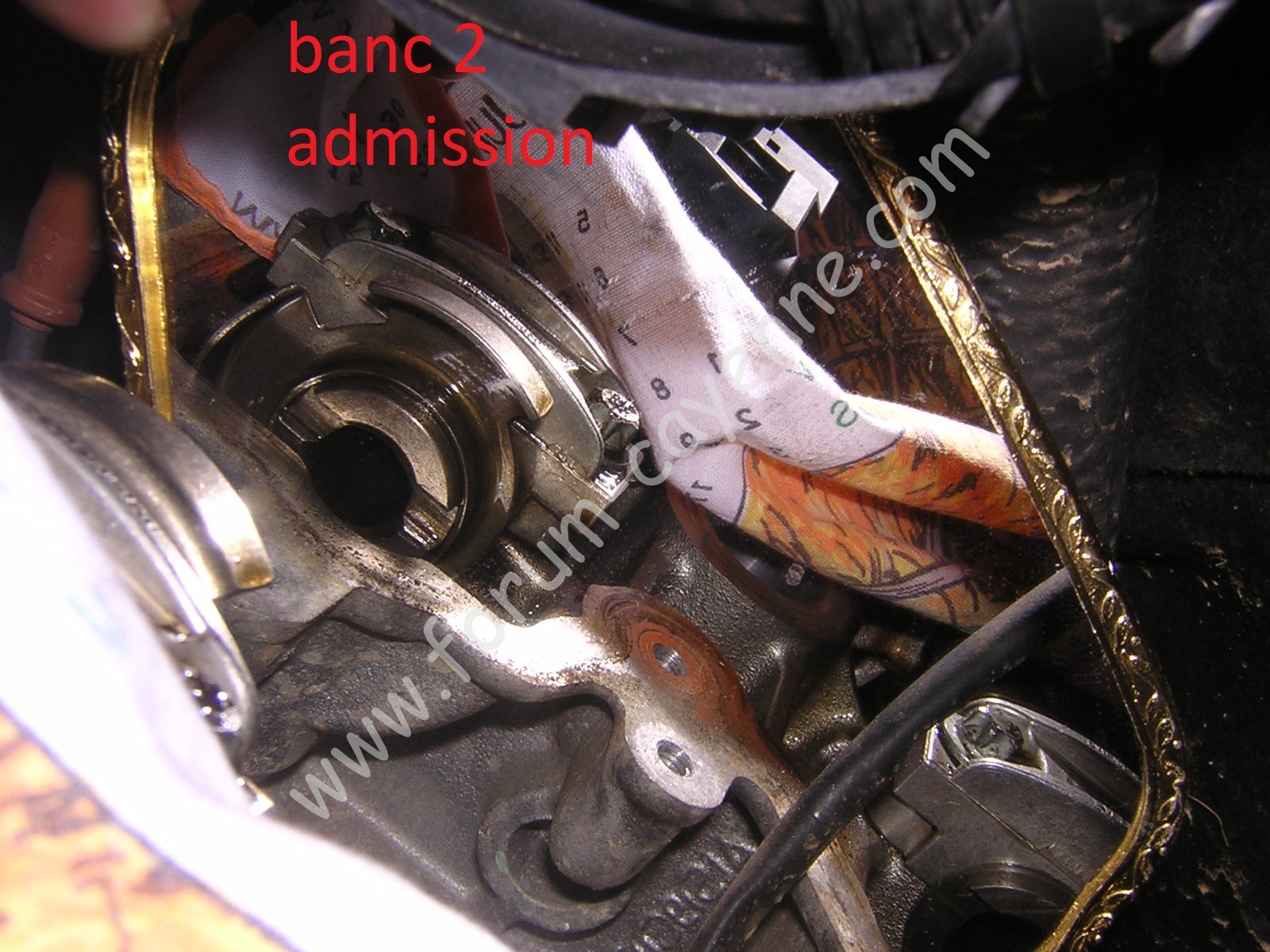 DSCN9864.JPG