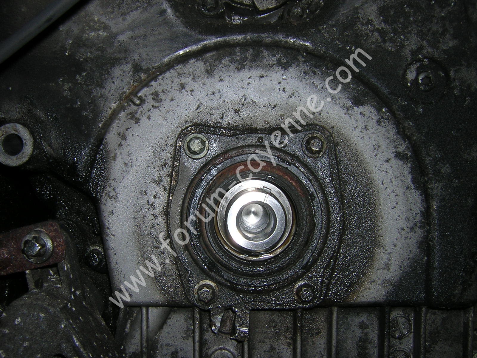DSCN9870.JPG