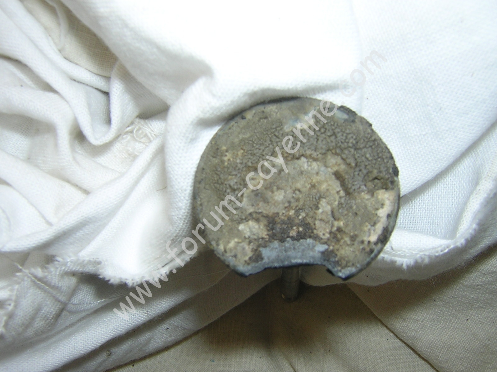 DSCN9919.JPG