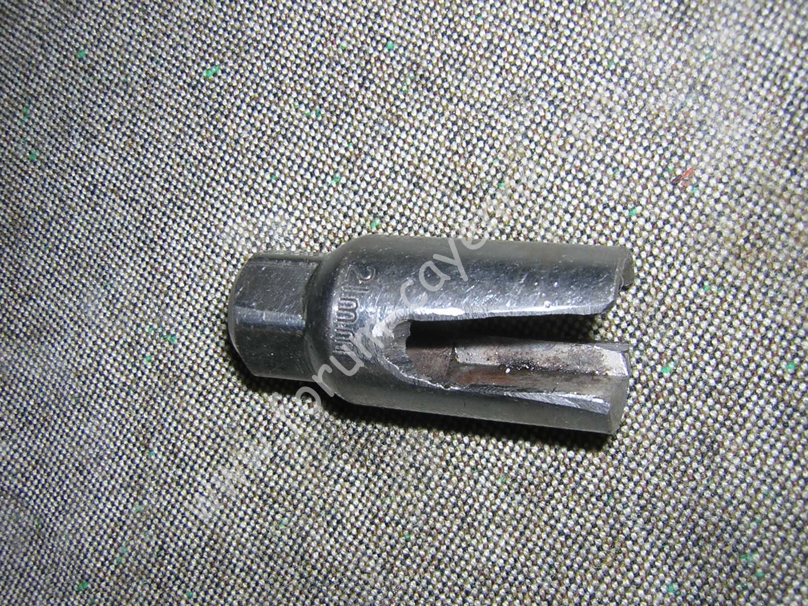 DSCN9924.JPG