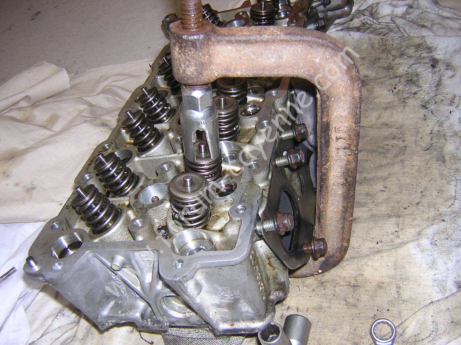 DSCN9925.JPG