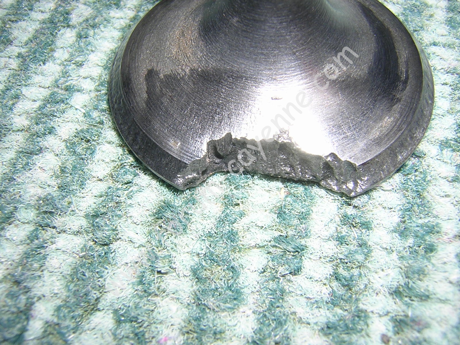 DSCN9927.JPG