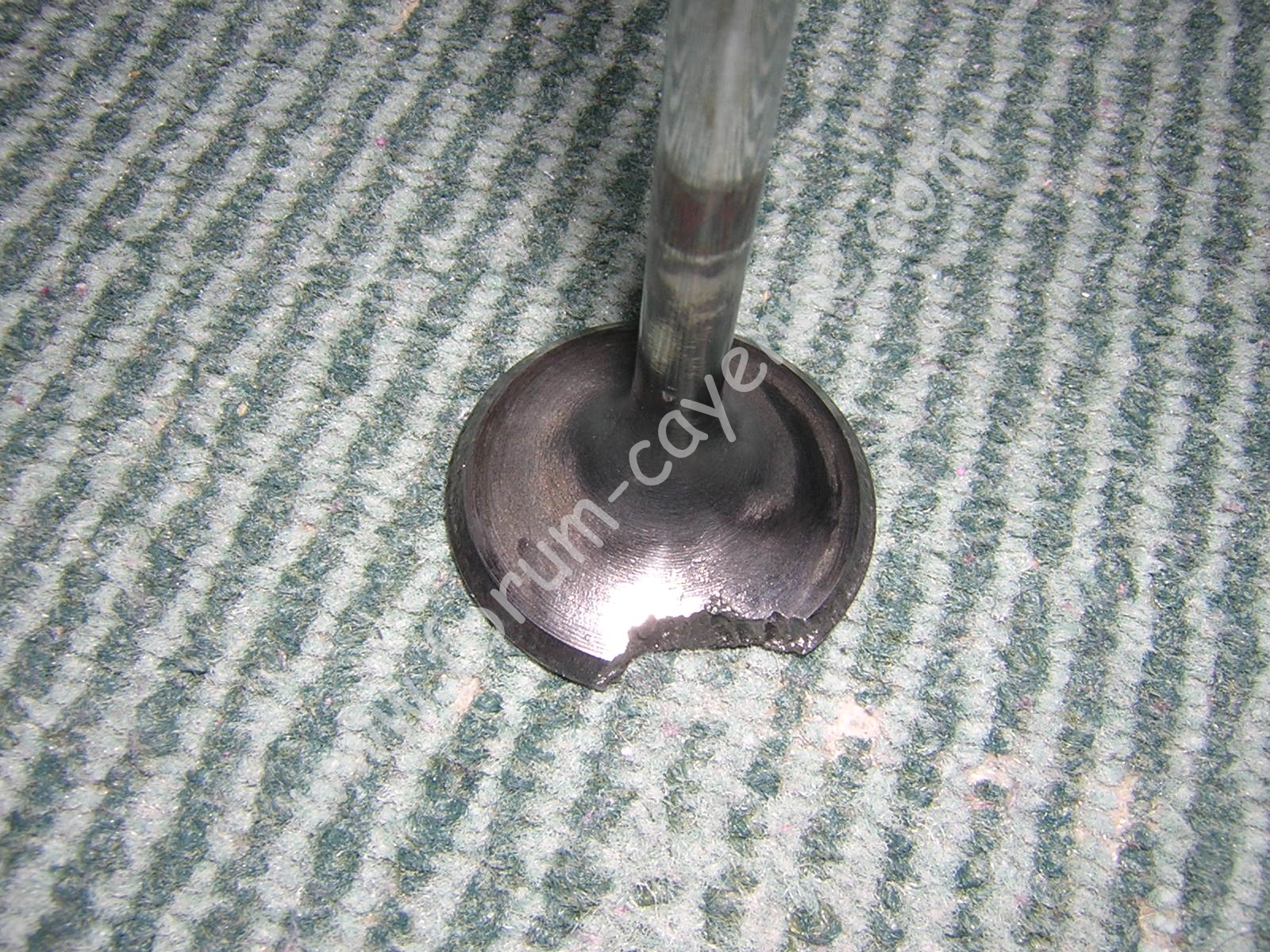 DSCN9928.JPG