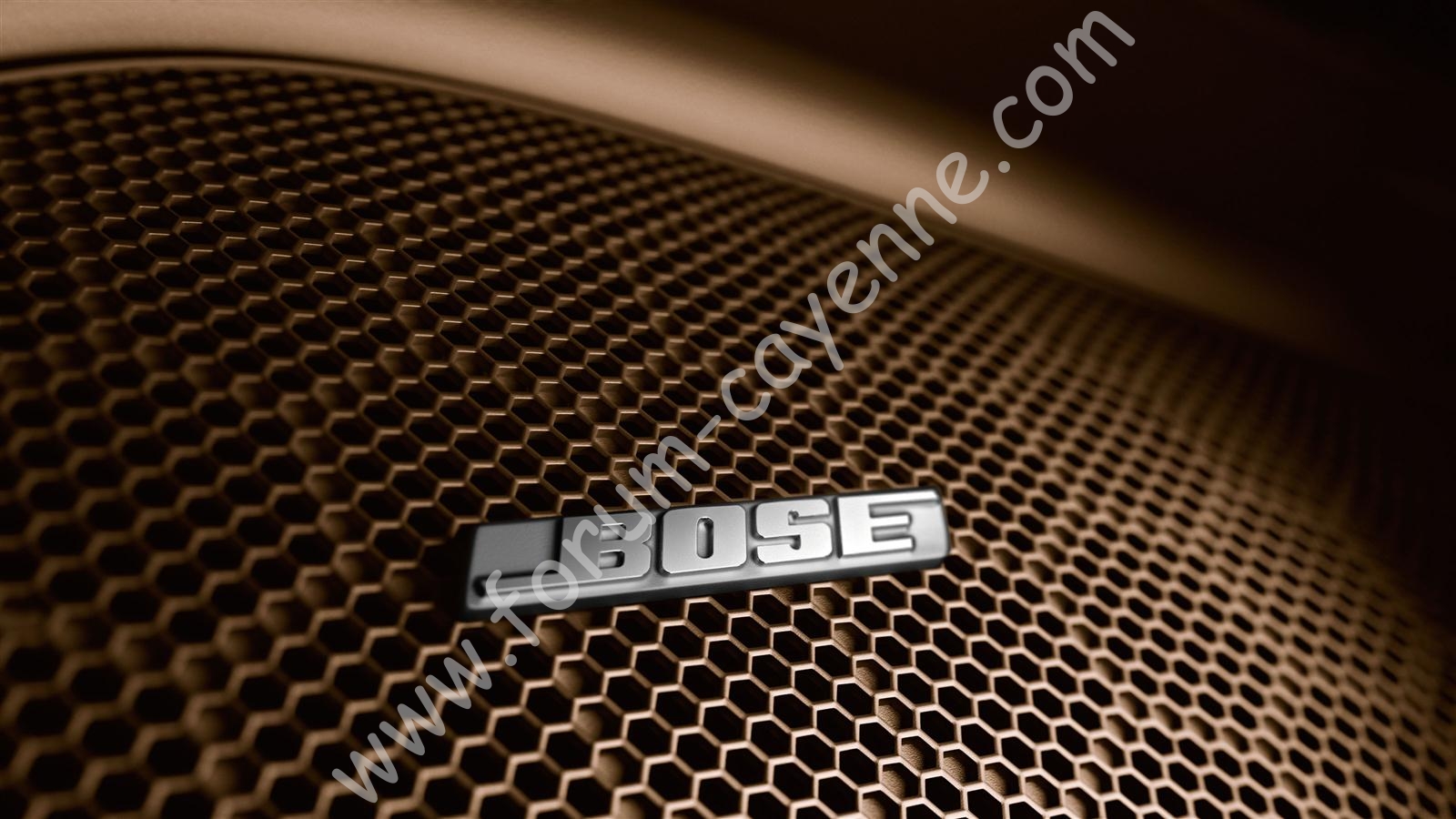 cayenne 958 platinium edition 17.jpg