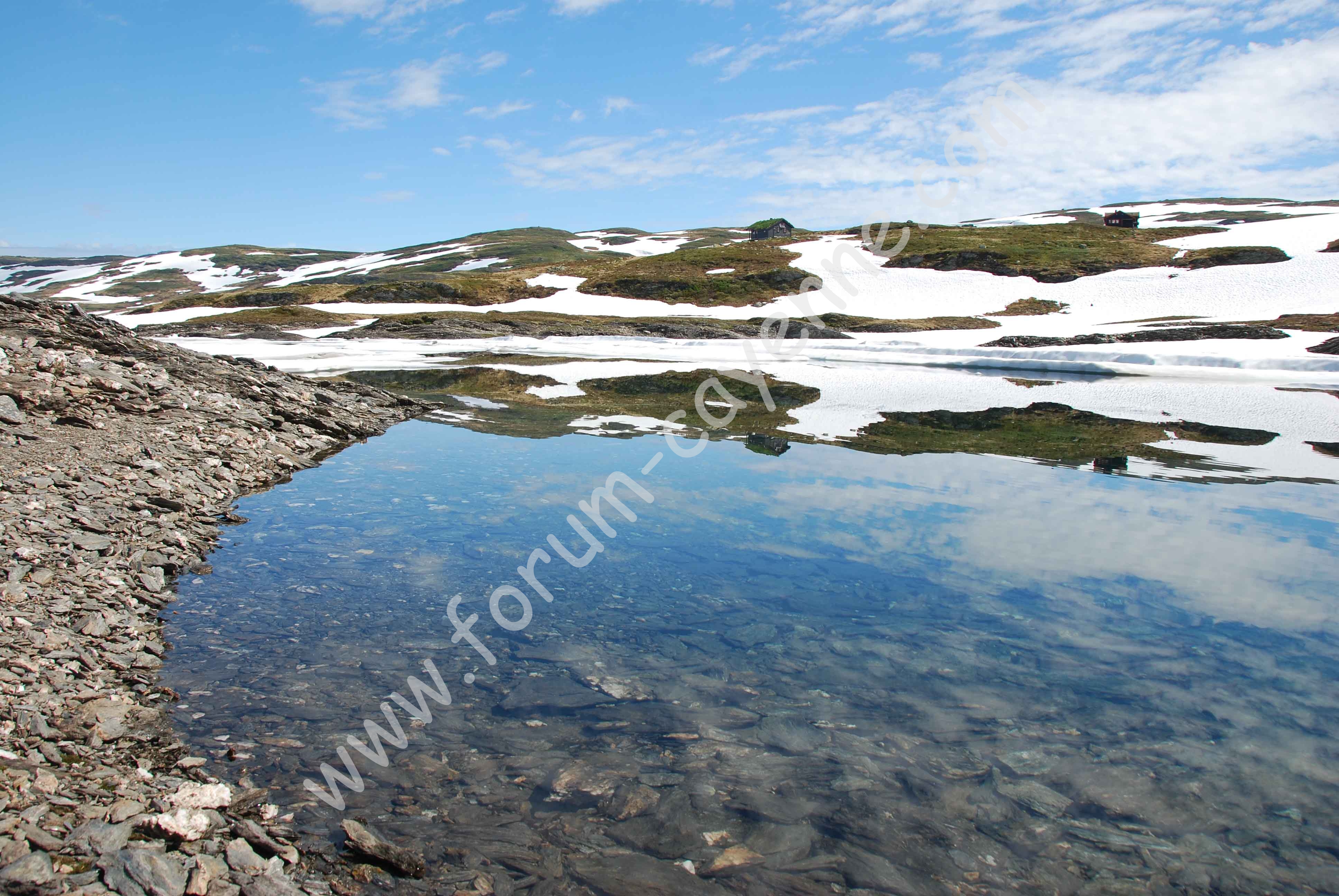 DSC_0249.jpg