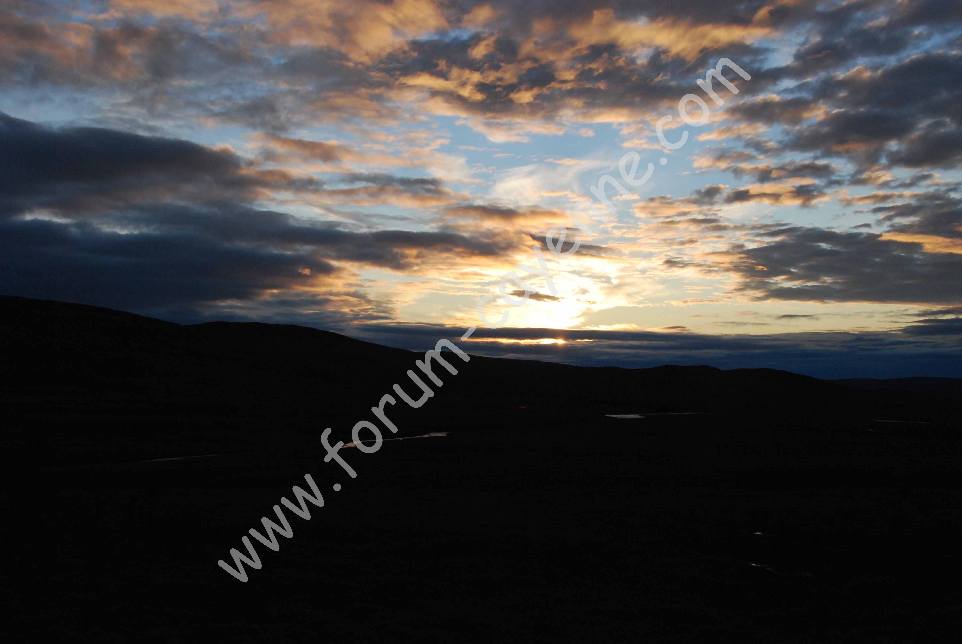DSC_0356.jpg