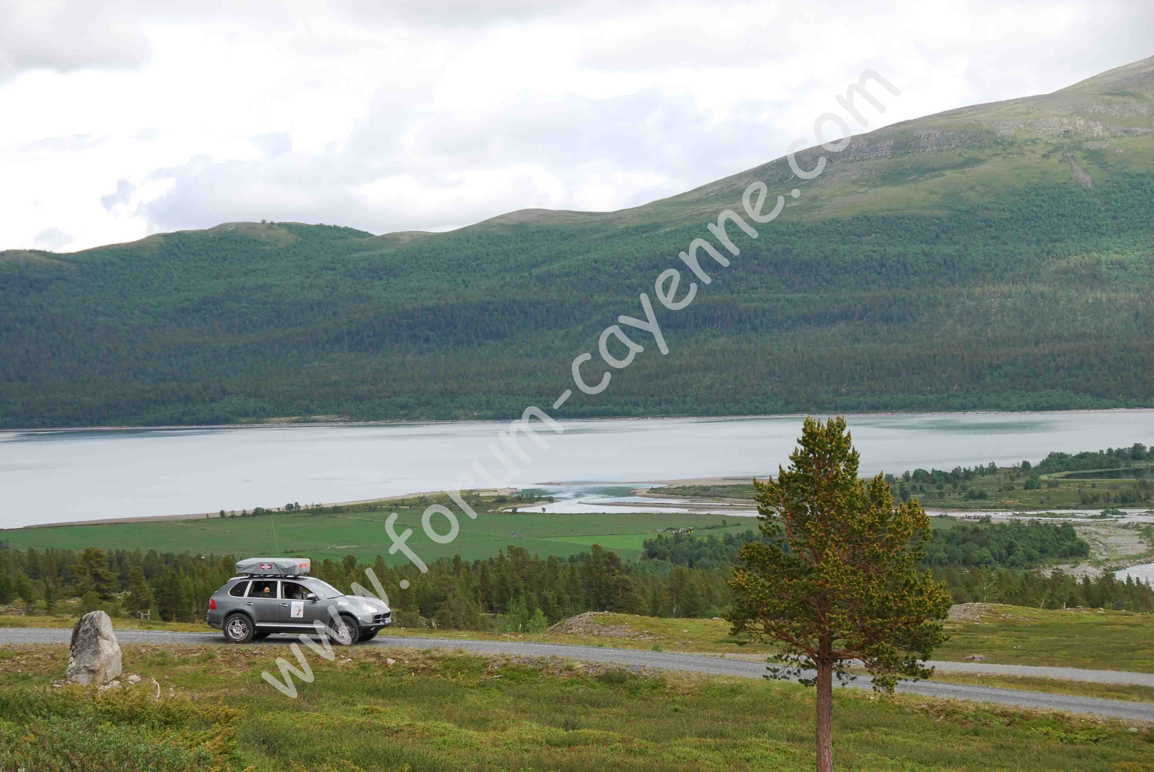 DSC_0372.jpg
