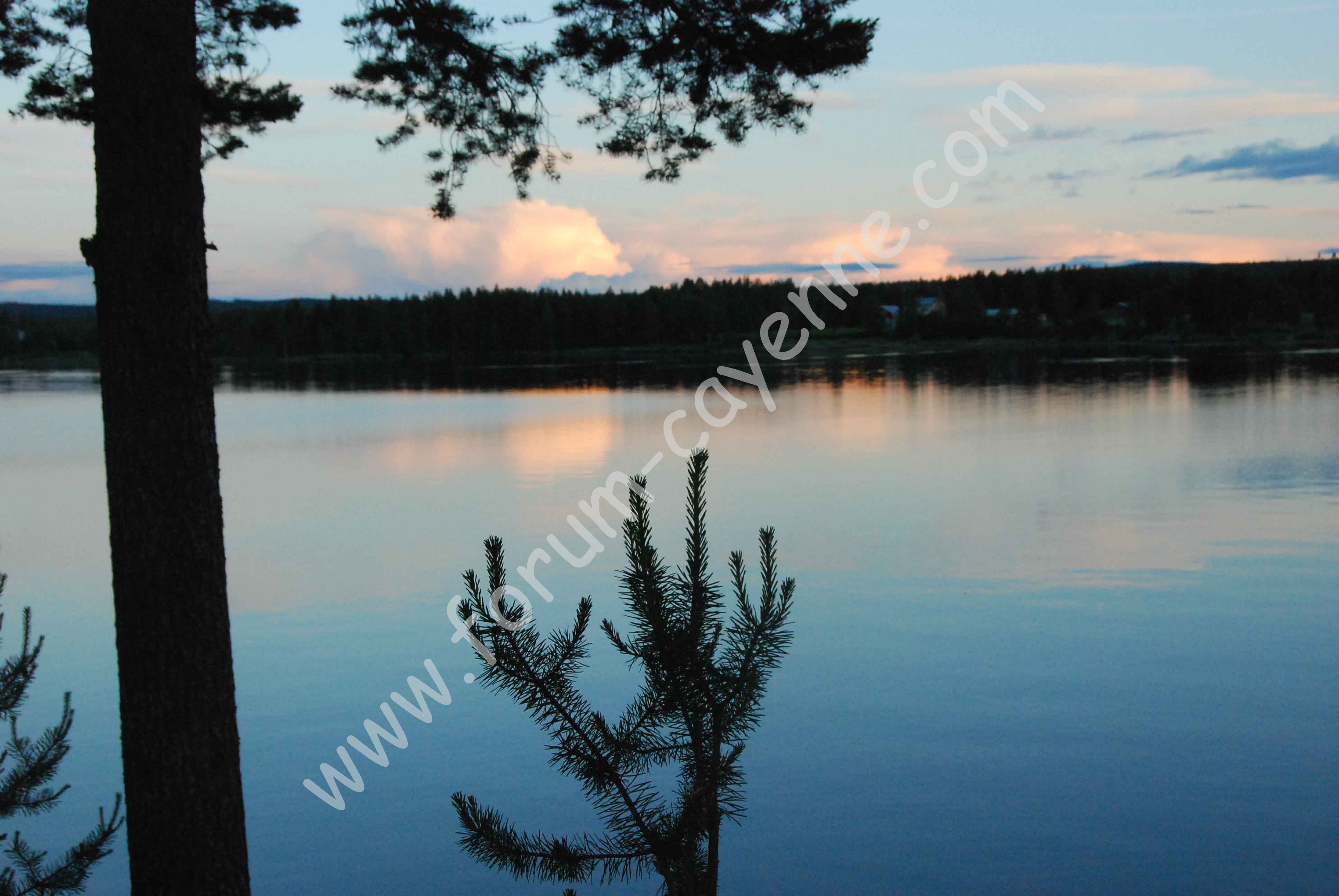 DSC_0714.jpg