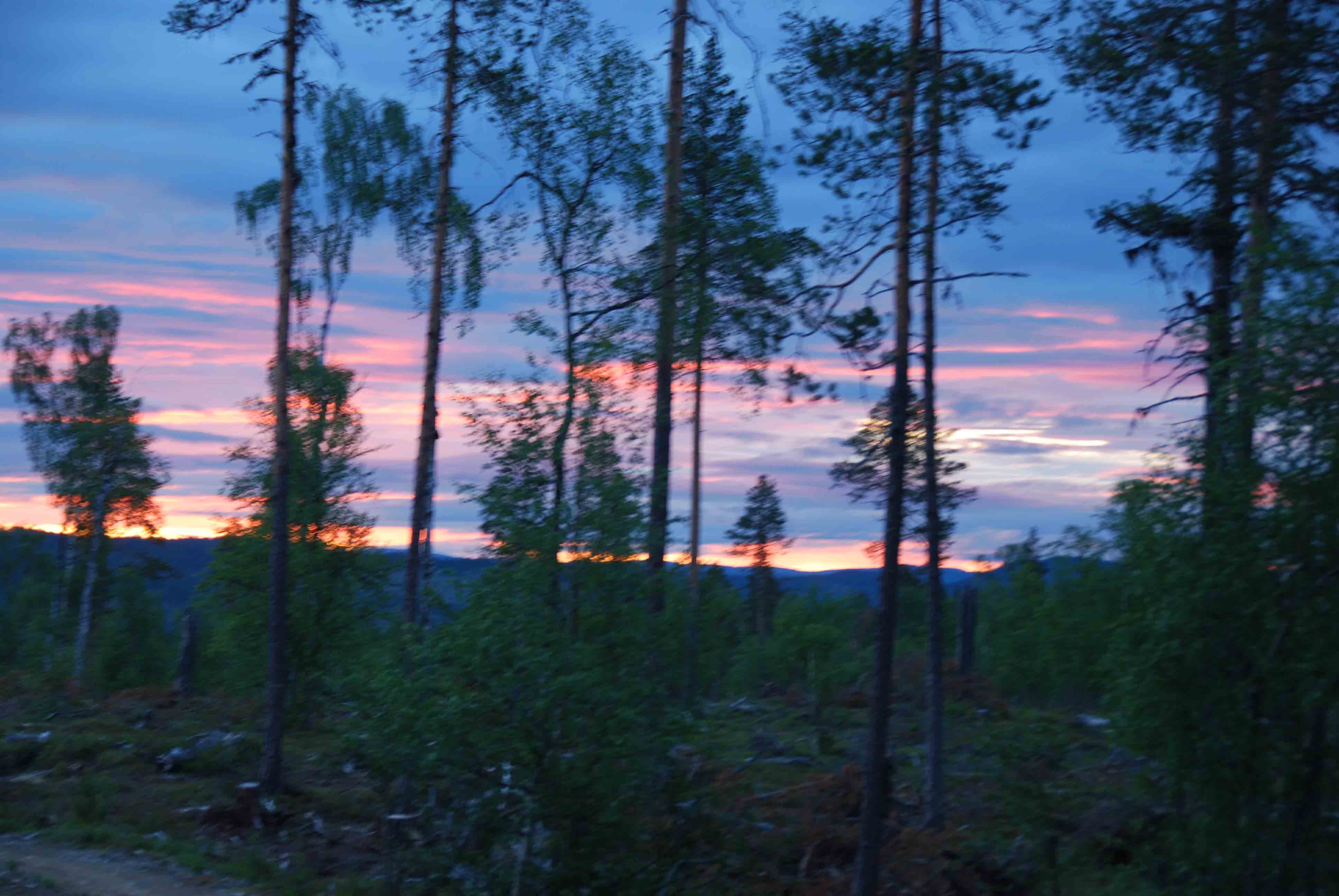 DSC_0752.jpg