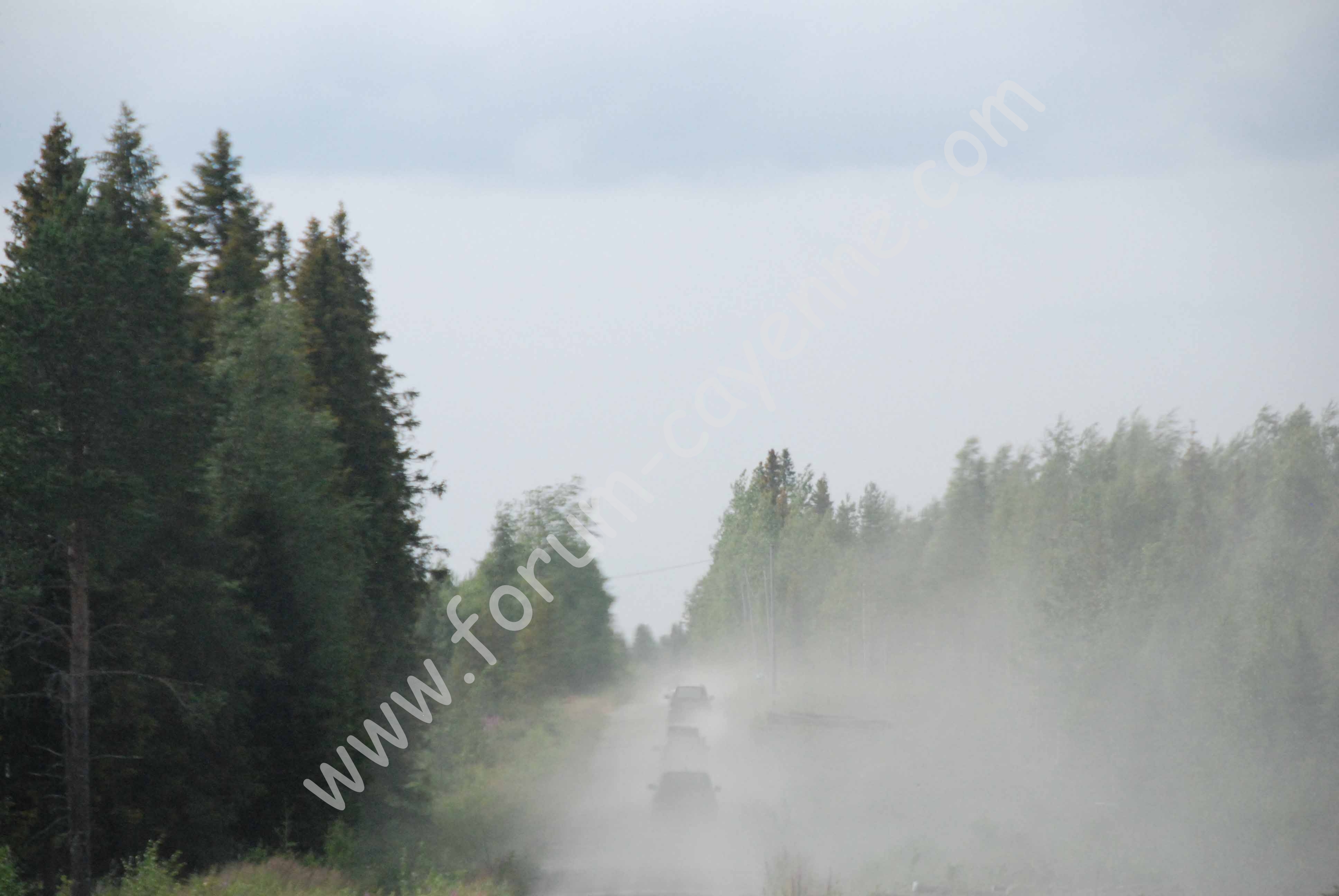 DSC_0944 2.jpg