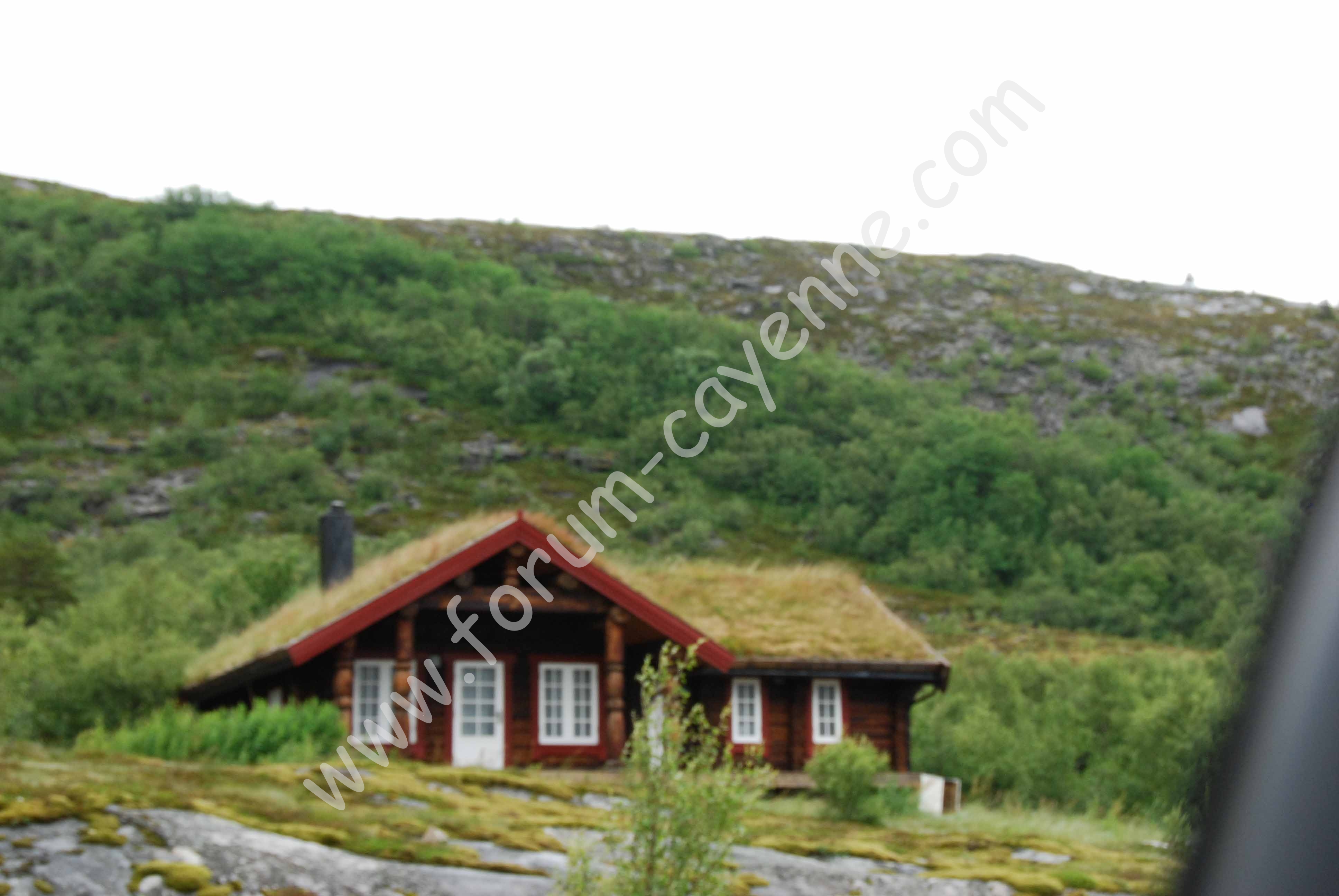 DSC_1067.jpg