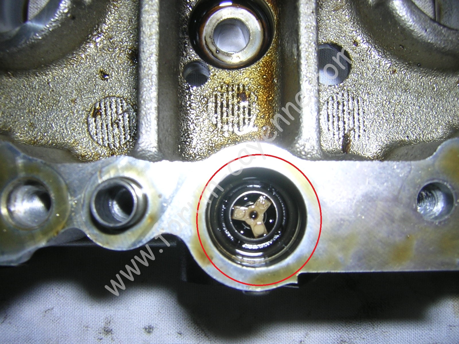 DSCN9992.JPG
