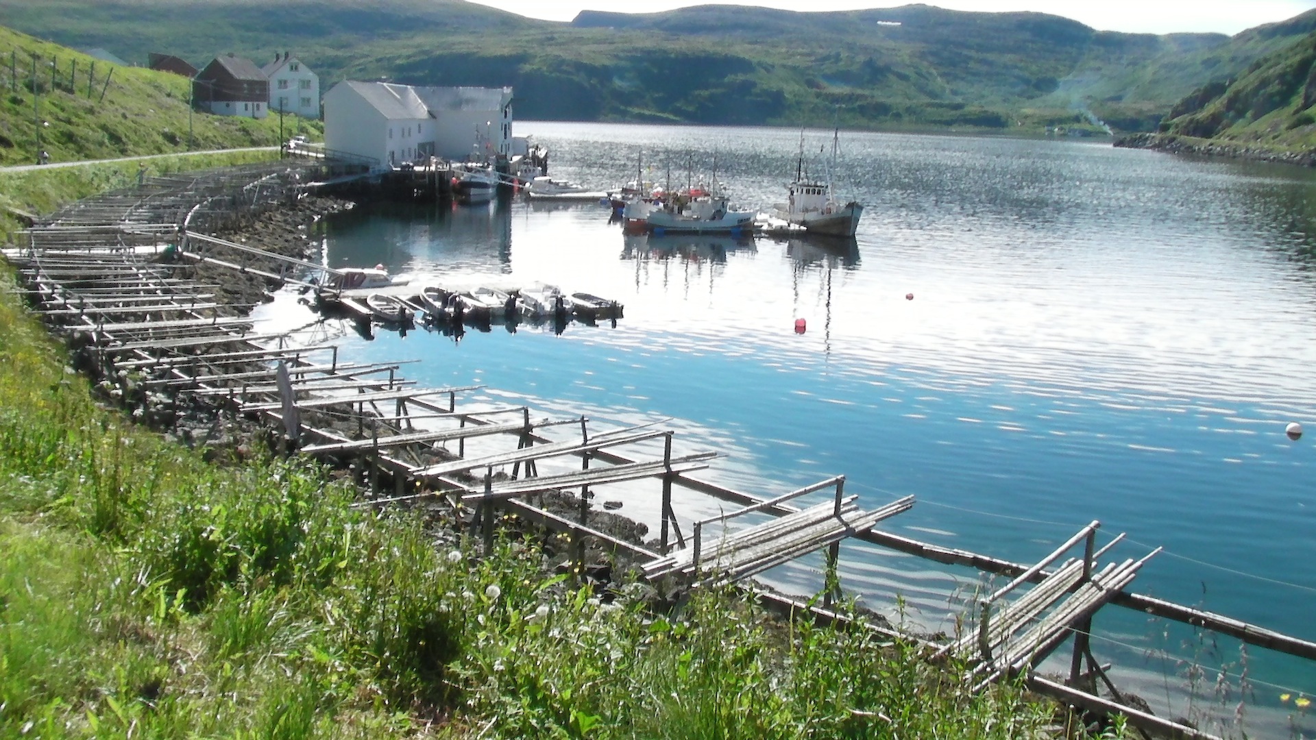 SANY0222.JPG
