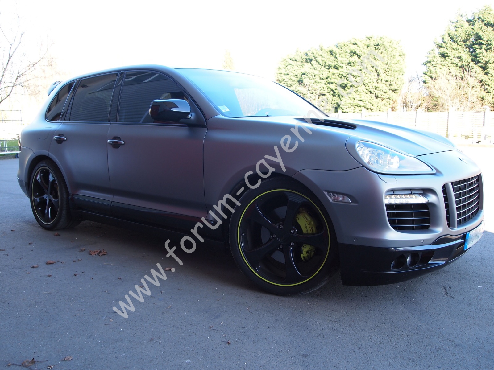 P3161594.JPG