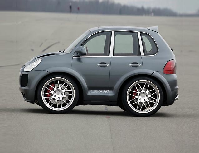 mini-cayenne.jpg