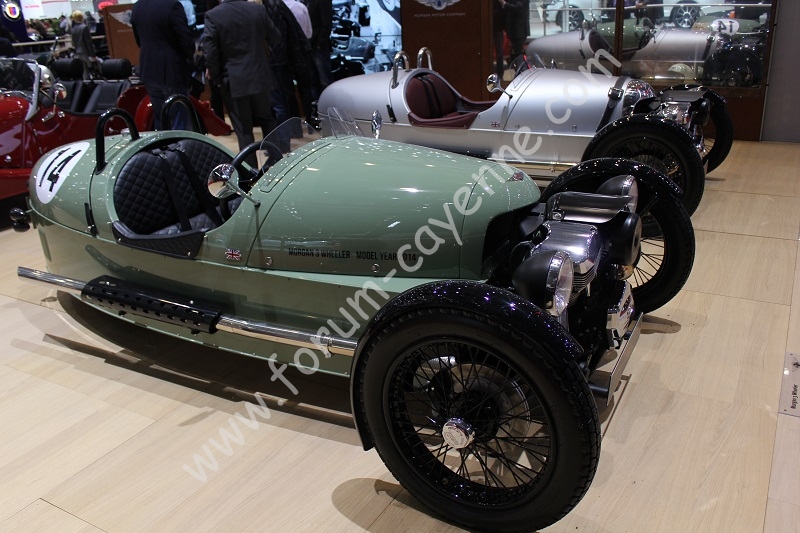 Morgan (2).JPG