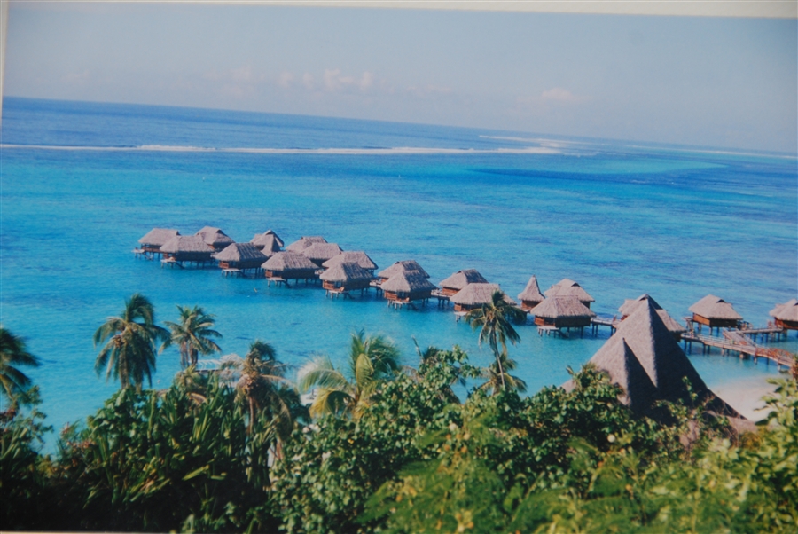 r_DSC_6646.jpg