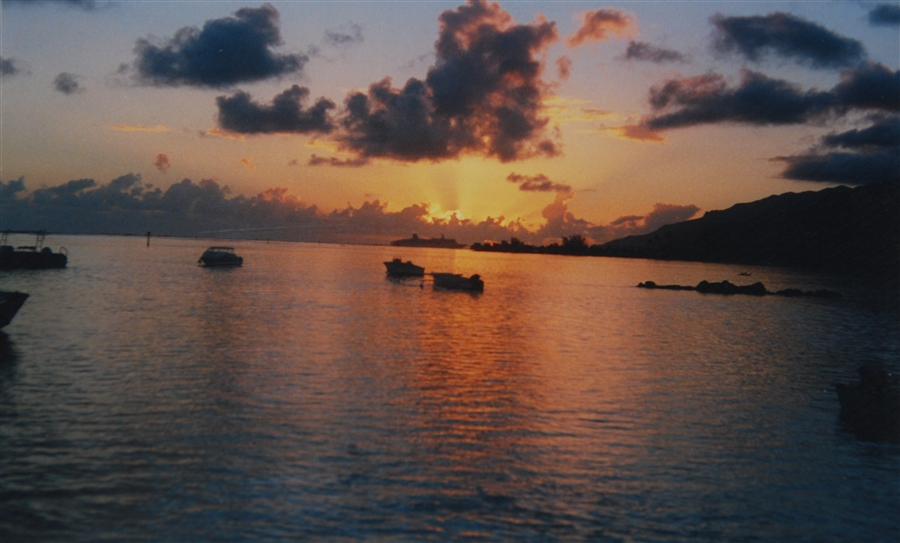 r_DSC_6656.jpg
