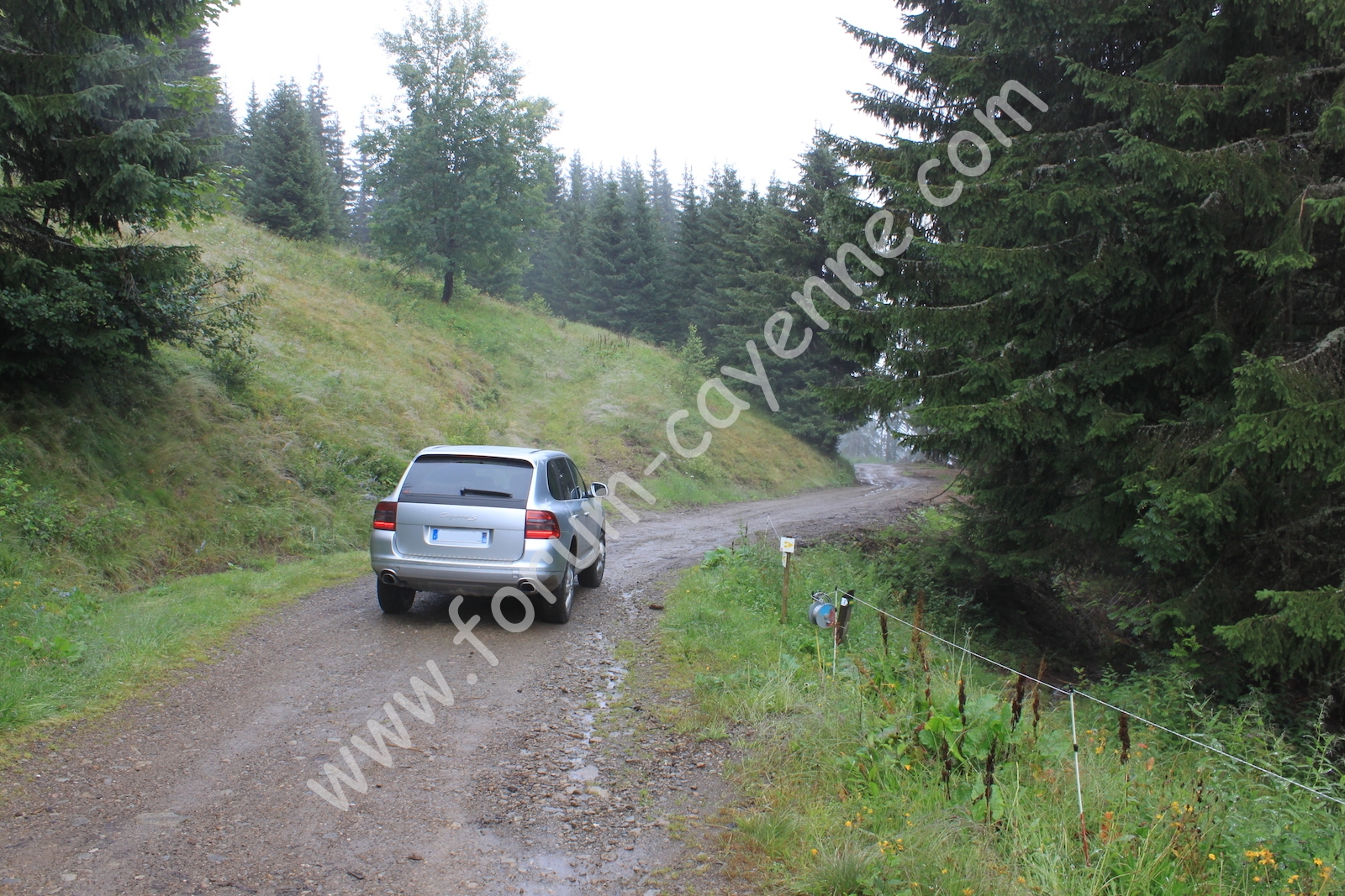 IMG_1487.JPG