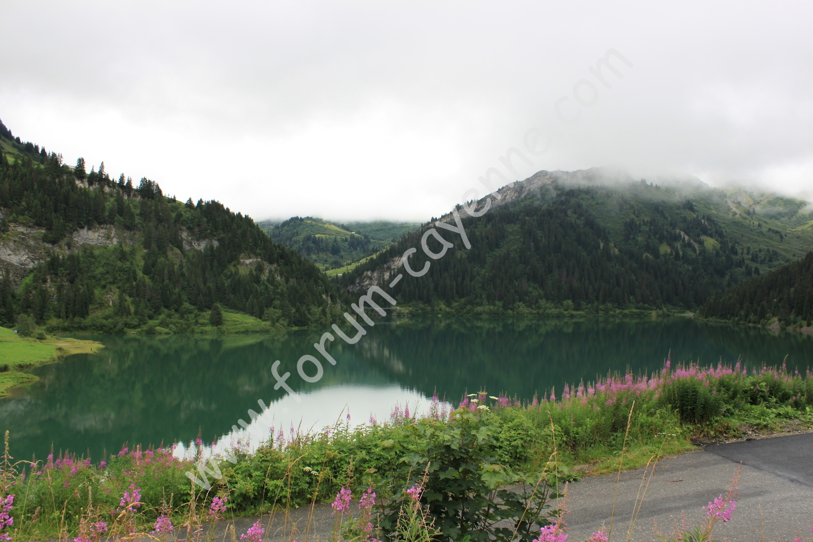 IMG_1502.JPG