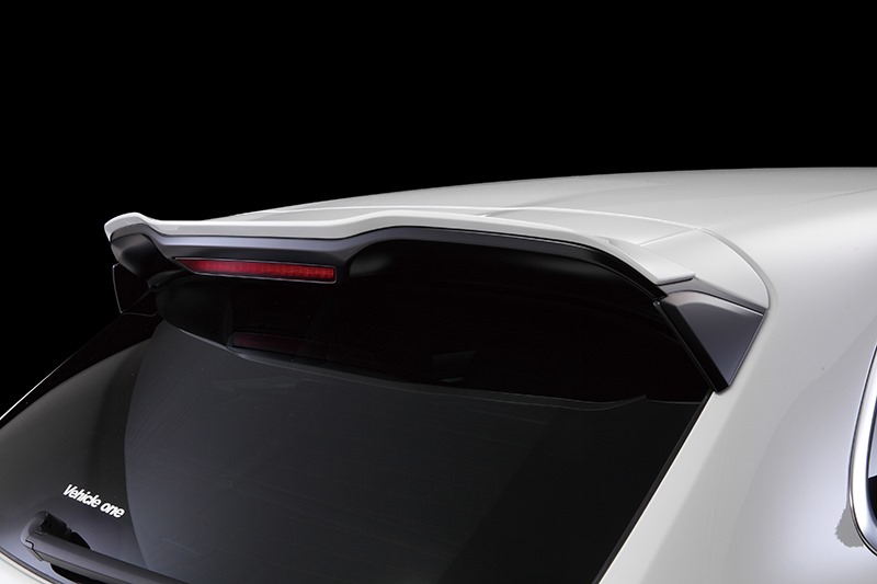Porsche-Cayenne-II-Black-Bison-Wald-142.jpg