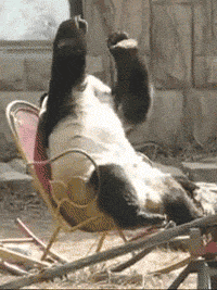 tumblr_mbw6ekYGgi1rj2okto1_250.gif