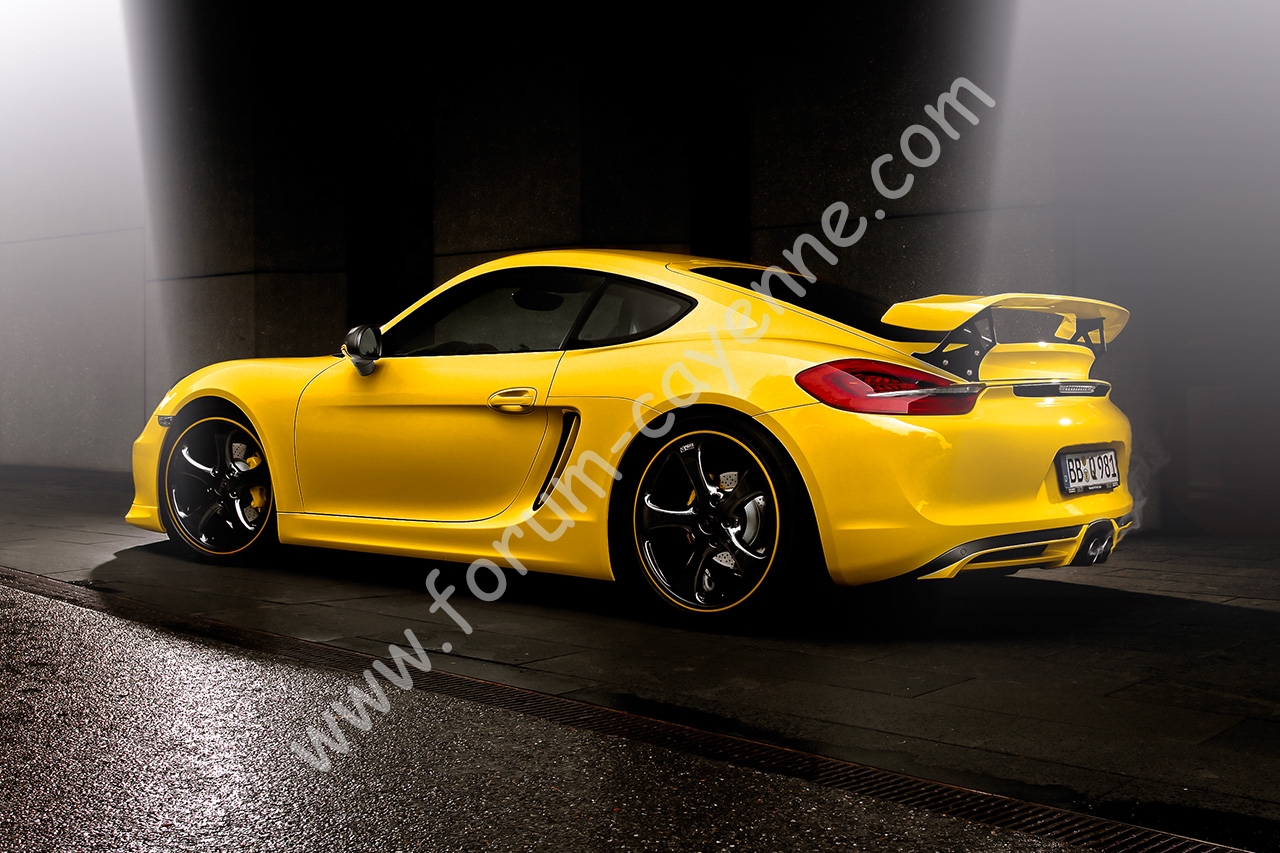 TECHART_for_Cayman_S_RearWingII.jpg
