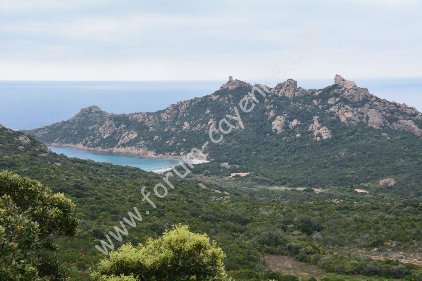 DSC_0676_01.JPG