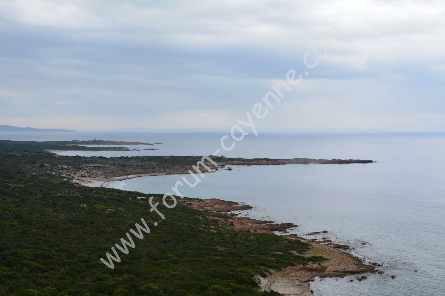 DSC_0691_01.JPG