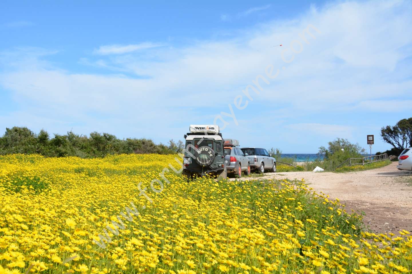 DSC_0789_01.JPG