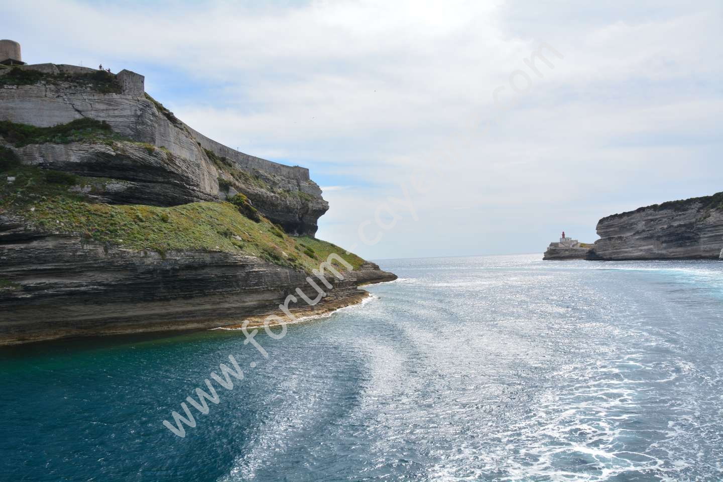DSC_0974_01.JPG