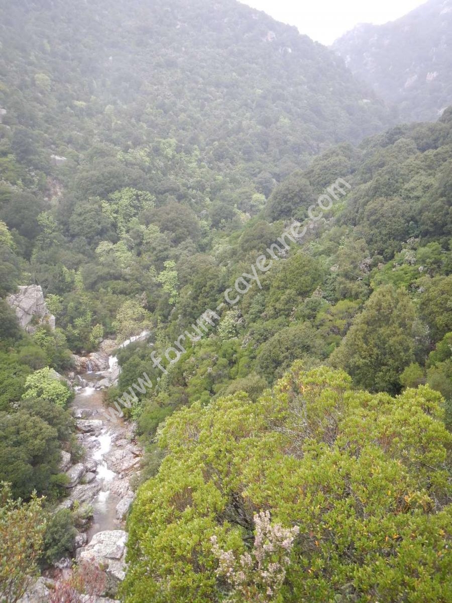 DSCN1542_01.JPG