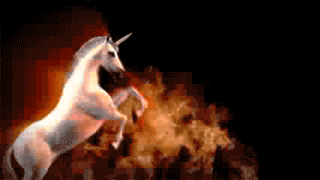 anniversaire3.gif