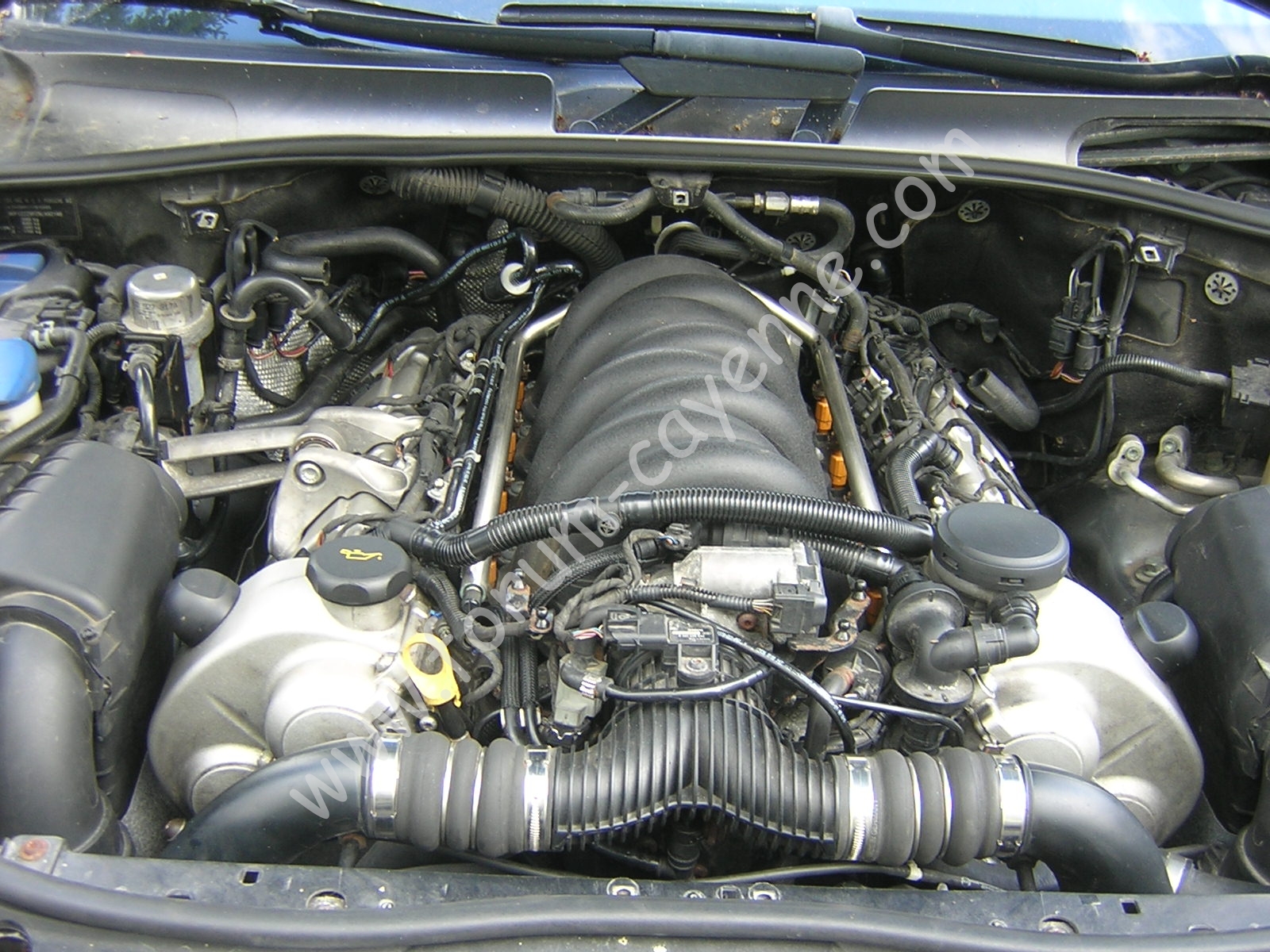 DSCN0221.JPG