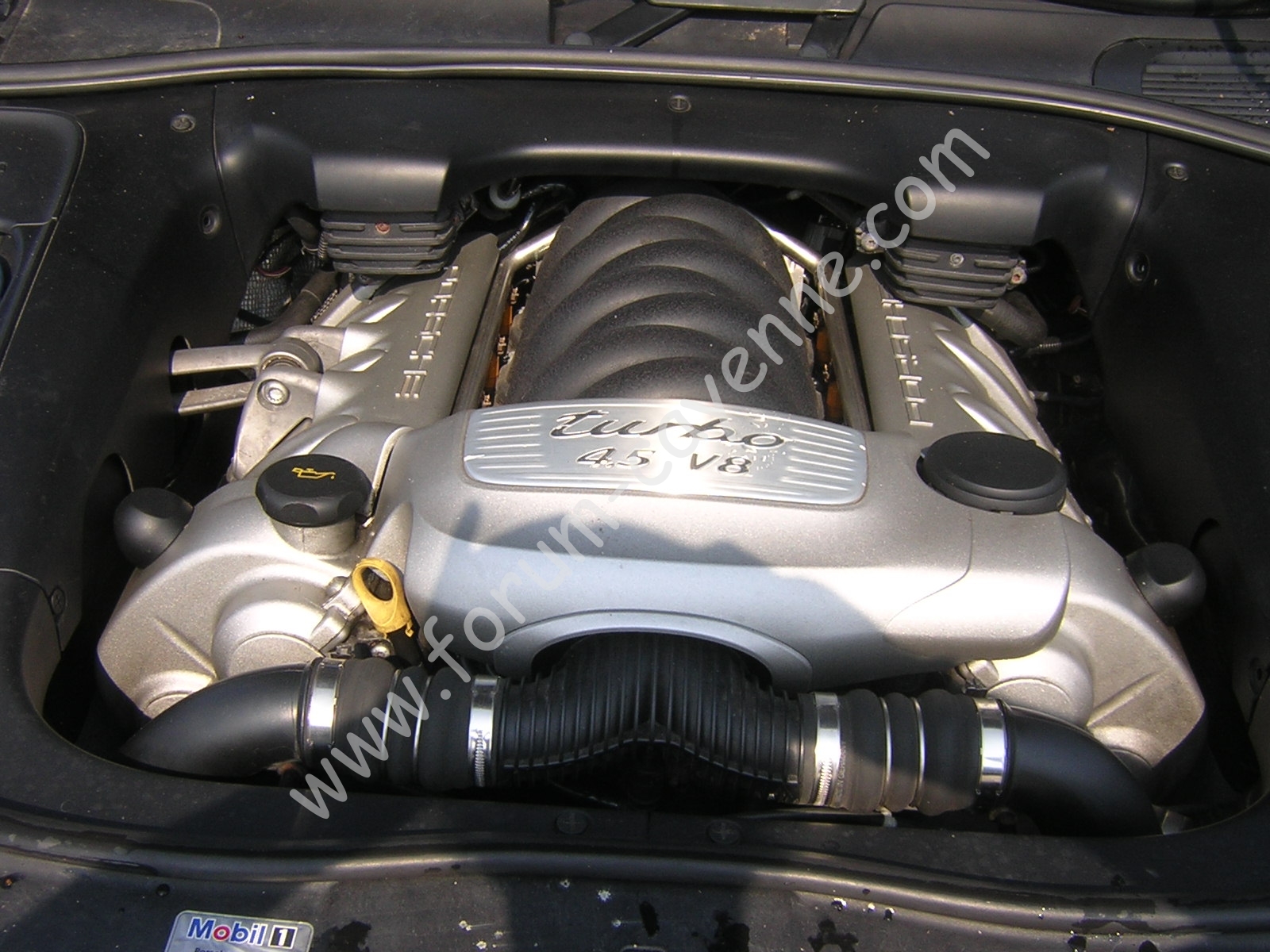 DSCN0295.JPG